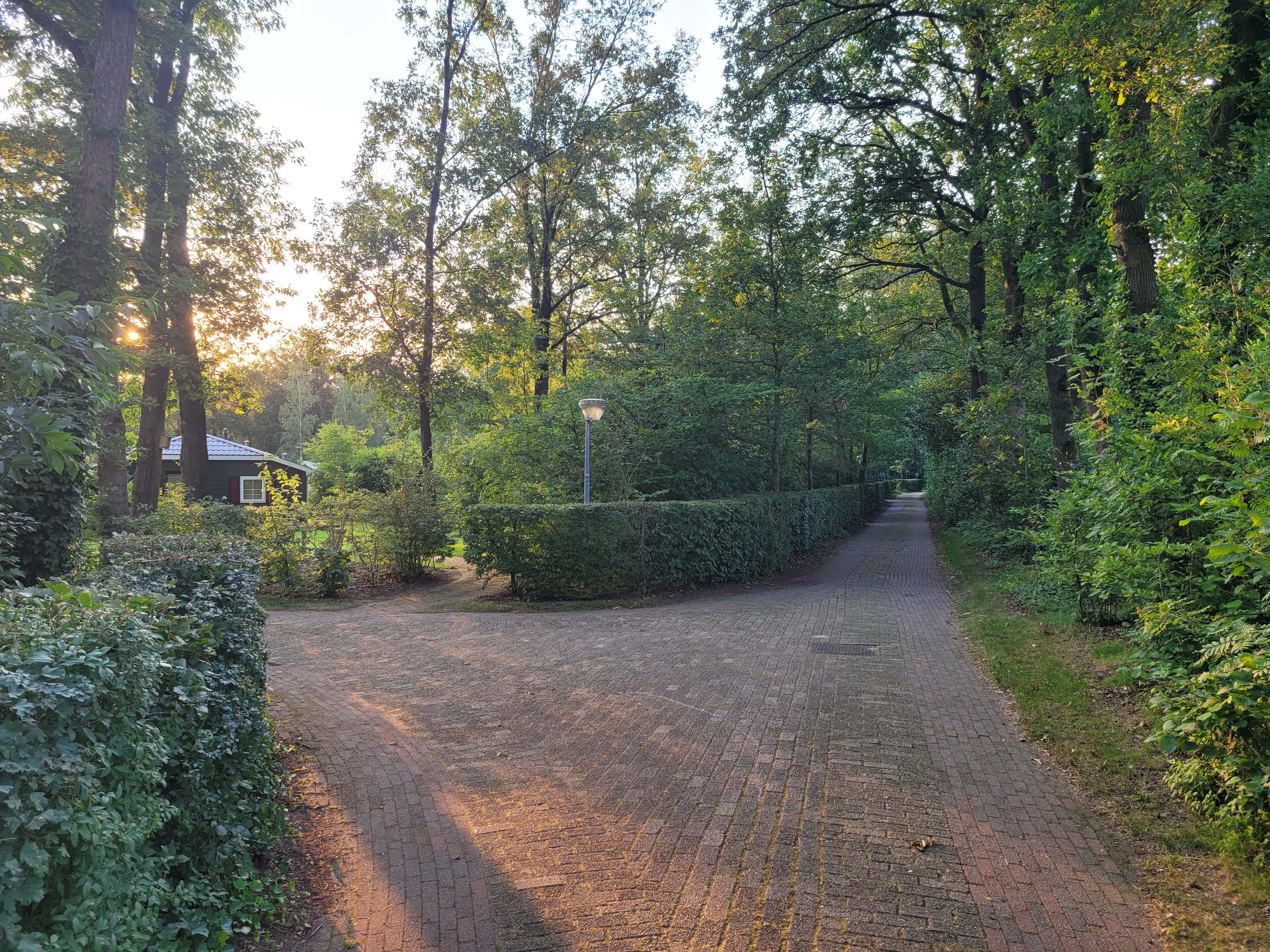 gezellig, comfortabel en huisdiervriendelijk vakantiehuis