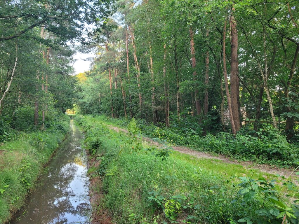 gezellig, comfortabel en huisdiervriendelijk vakantiehuis